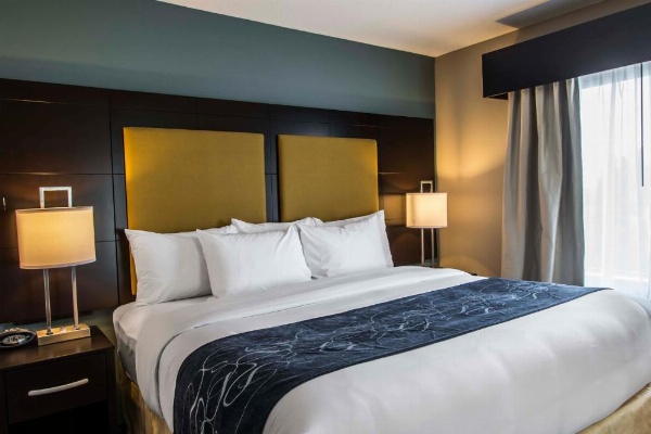 Comfort Suites Fort Lauderdale Airport South & Cruise Port image 28