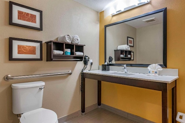 Comfort Suites Fort Lauderdale Airport South & Cruise Port image 7